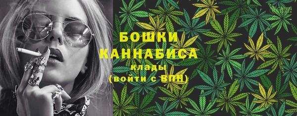 прущие грибы Баксан