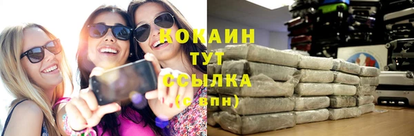 прущие грибы Баксан
