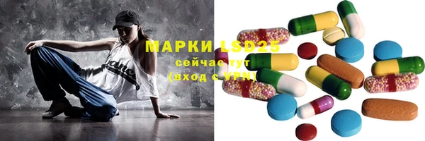 прущие грибы Баксан