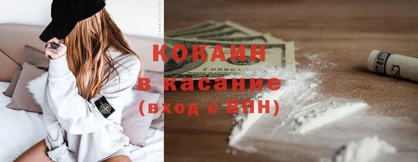 прущие грибы Баксан