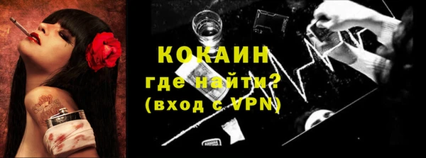 прущие грибы Баксан