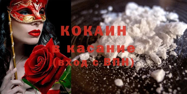 прущие грибы Баксан