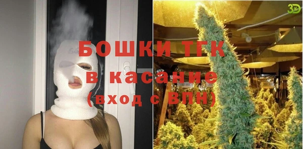 прущие грибы Баксан