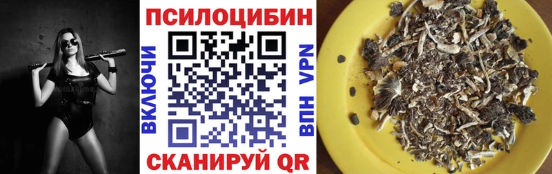 Псилоцибиновые грибы GOLDEN TEACHER  купить наркотики сайты  KRAKEN зеркало  Гатчина 